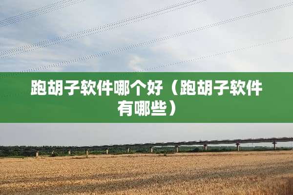 跑胡子软件哪个好（跑胡子软件有哪些）