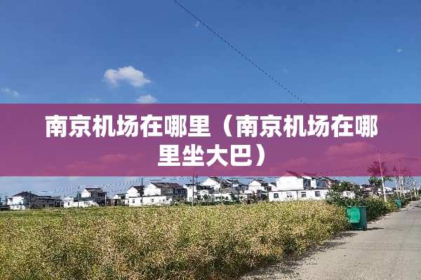 南京机场在哪里（南京机场在哪里坐大巴）