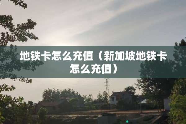 地铁卡怎么充值（新加坡地铁卡怎么充值）