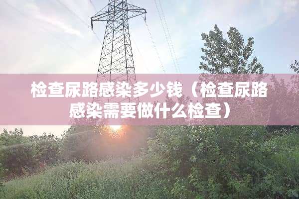 检查尿路感染多少钱（检查尿路感染需要做什么检查）