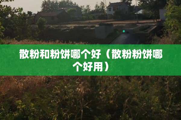 散粉和粉饼哪个好（散粉粉饼哪个好用）