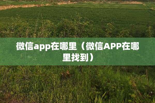 微信app在哪里（微信APP在***到）