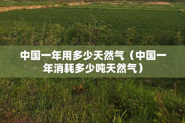 中国一年用多少天然气（中国一年消耗多少吨天然气）