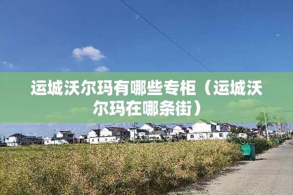 运城沃尔玛有哪些专柜（运城沃尔玛在哪条街）