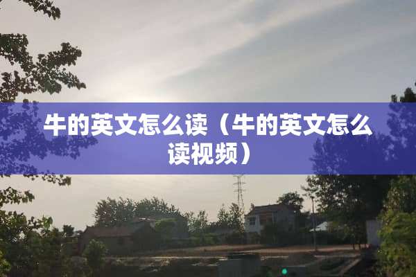 牛的英文怎么读（牛的英文怎么读视频）