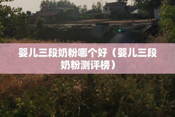 婴儿三段奶粉哪个好（婴儿三段奶粉测评榜）