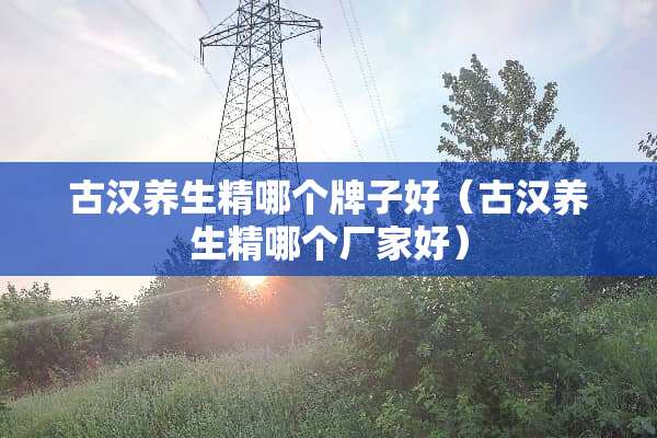 古汉养生精哪个牌子好（古汉养生精哪个厂家好）