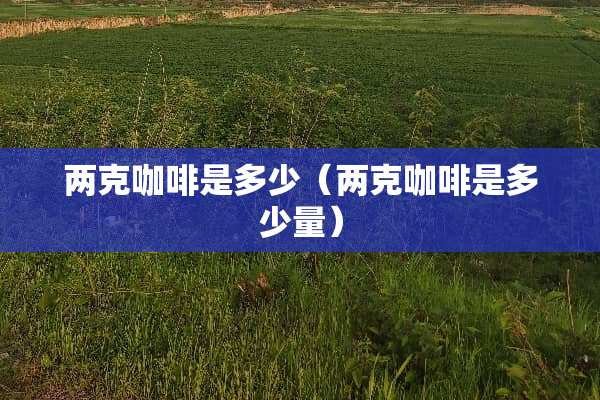 两克咖啡是多少（两克咖啡是多少量）
