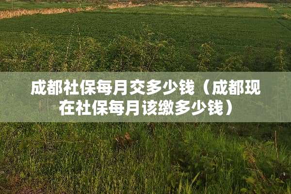 成都社保每月交多少钱（成都现在社保每月该缴多少钱）