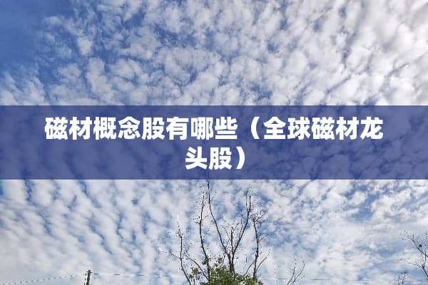 磁材概念股有哪些（全球磁材龙头股）