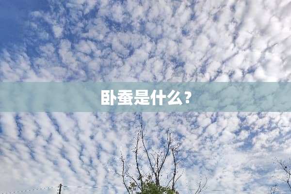 卧蚕是什么？