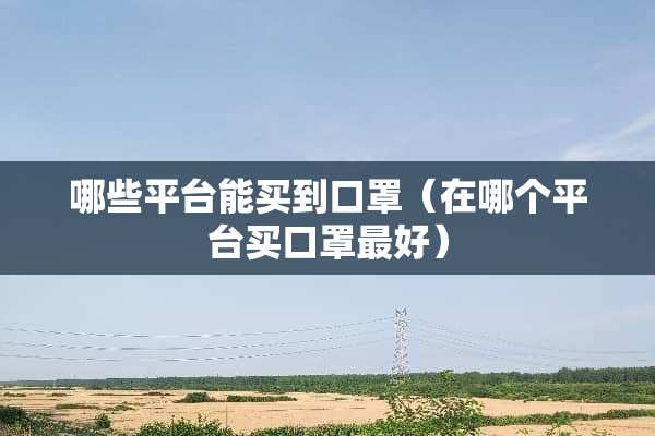 哪些平台能买到口罩（在哪个平台买口罩最好）