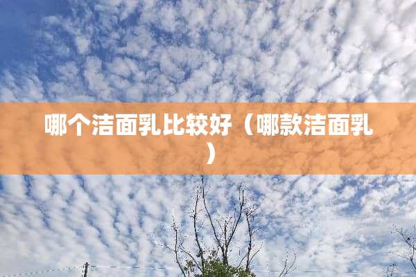 哪个洁面*比较好（哪款洁面*）