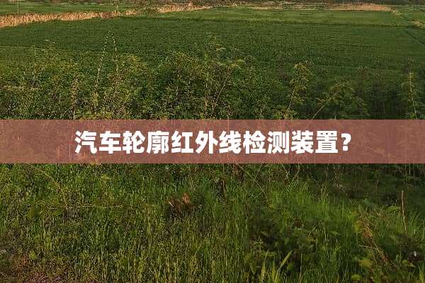 汽车轮廓红外线检测装置？