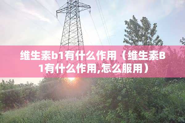 维生素b1有什么作用（维生素B1有什么作用,怎么服用）