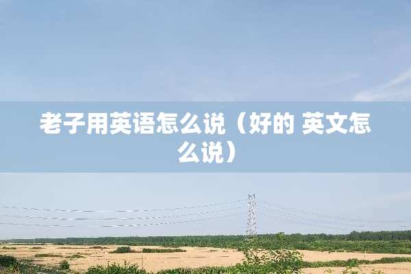 老子用英语怎么说（好的 英文怎么说）