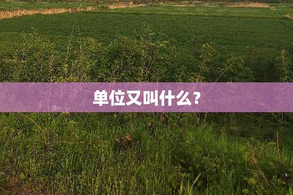 单位又叫什么？