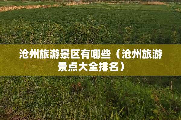沧州旅游景区有哪些（沧州旅游景点大全排名）