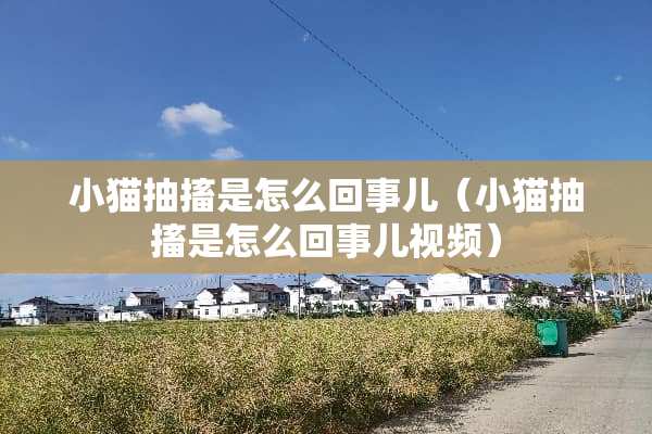 小猫抽搐是怎么回事儿（小猫抽搐是怎么回事儿视频）