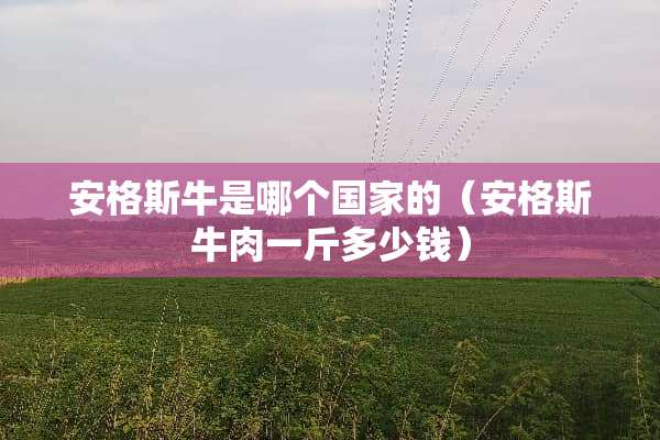 安格斯牛是哪个国家的（安格斯牛肉一斤多少钱）