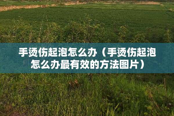 手烫伤起泡怎么办（手烫伤起泡怎么办最有效的方法图片）