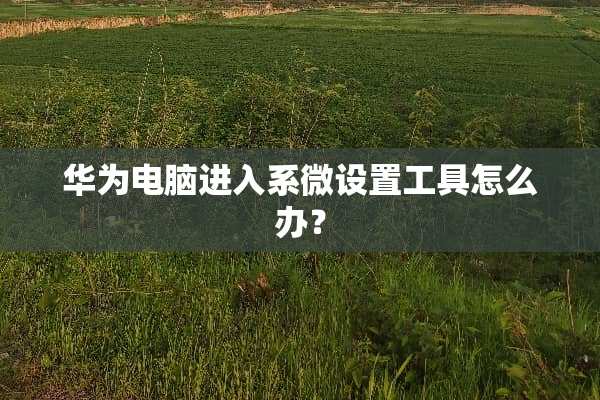 华为电脑进入系微设置工具怎么办？