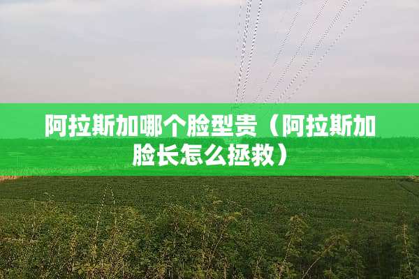 阿拉斯加哪个脸型贵（阿拉斯加脸长怎么拯救）