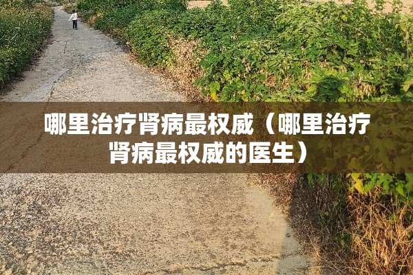 哪里治疗肾病最权威（哪里治疗肾病最权威的医生）