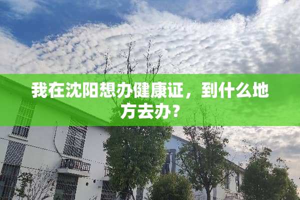 我在沈阳想办健康证，到什么地方去办？
