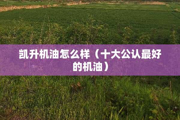 凯升机油怎么样（十大公认最好的机油）