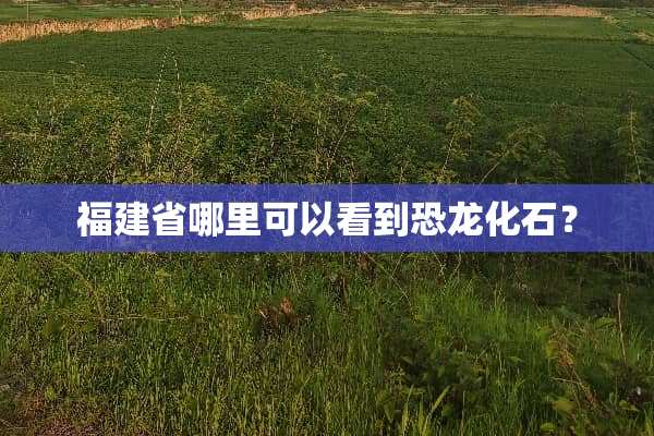 福建省哪里可以看到恐龙化石？