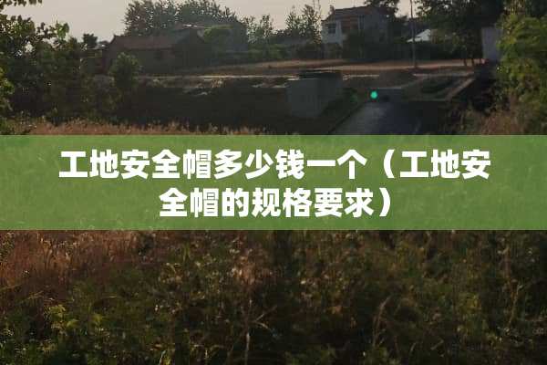工地安全帽多少钱一个（工地安全帽的规格要求）