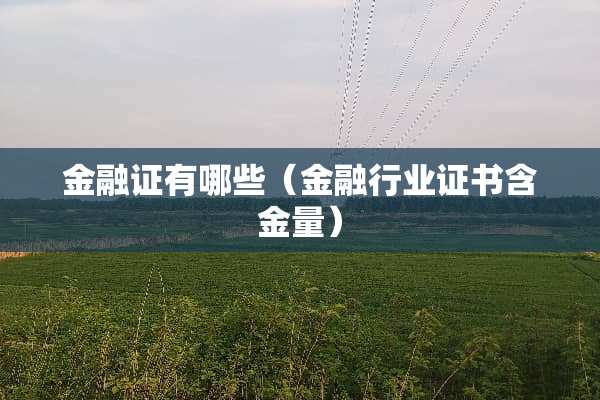 金融证有哪些（金融行业证书含金量）