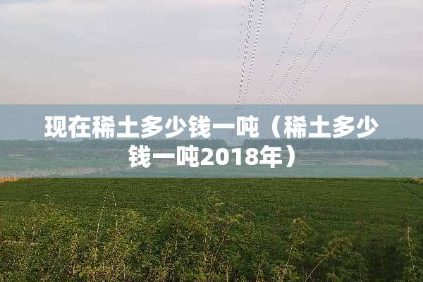 现在**多少钱一吨（**多少钱一吨2018年）