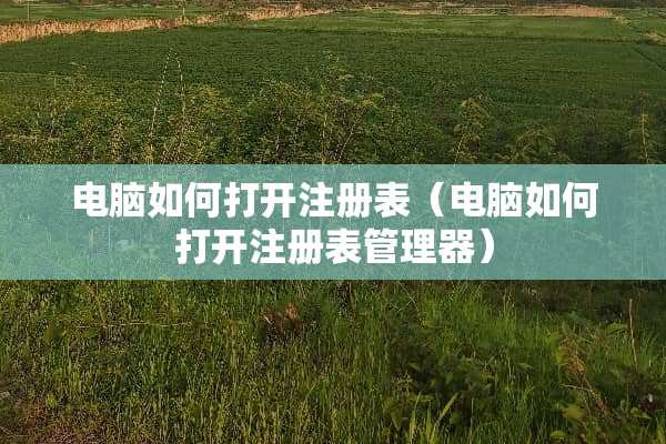 电脑如何打开注册表（电脑如何打开注册表管理器）