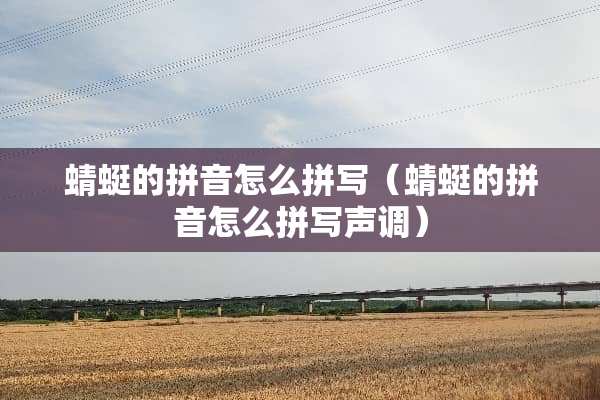 蜻蜓的拼音怎么拼写（蜻蜓的拼音怎么拼写声调）