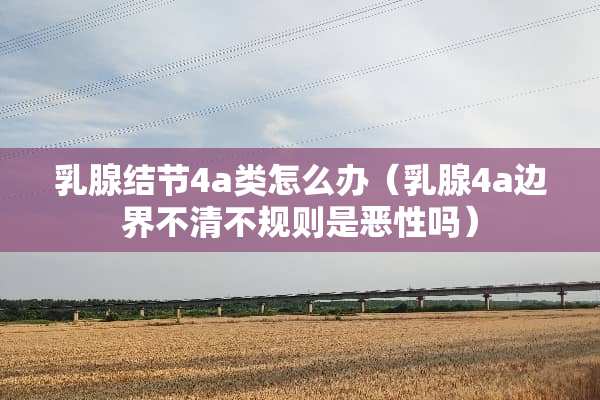 *腺结节4a类怎么办（*腺4a边界不清不规则是恶性吗）