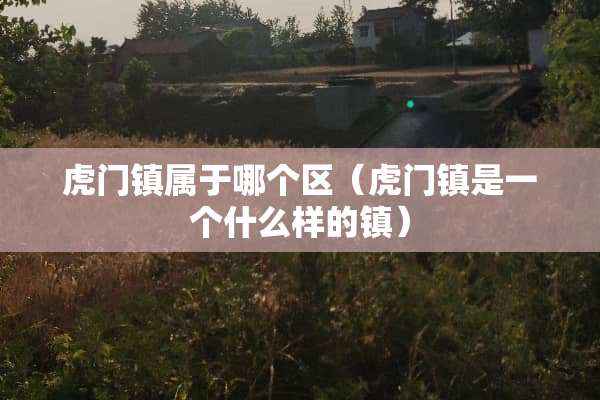 虎门镇属于哪个区（虎门镇是一个什么样的镇）