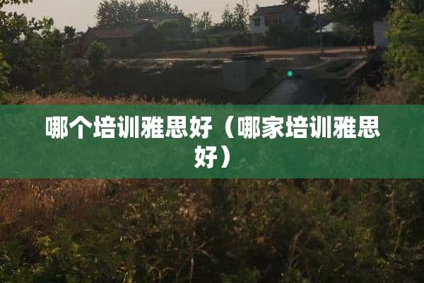 哪个培训雅思好（哪家培训雅思好）