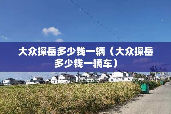 大众探岳多少钱一辆（大众探岳多少钱一辆车）