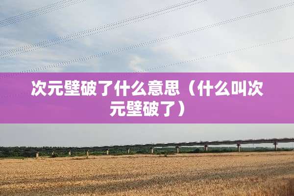 次元壁破了什么意思（什么叫次元壁破了）