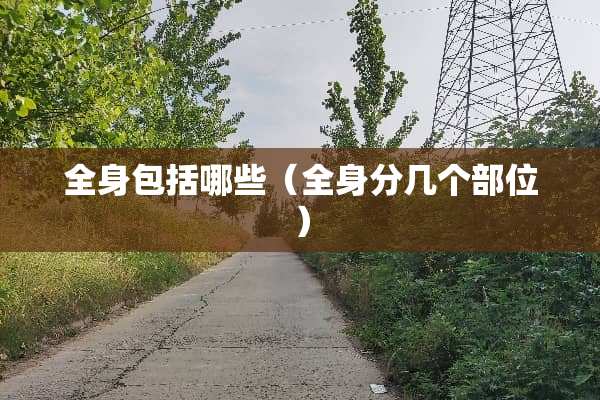 全身包括哪些（全身分几个部位）