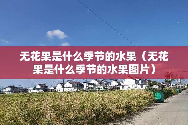 无花果是什么季节的水果（无花果是什么季节的水果图片）