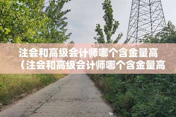 注会和高级会计师哪个含金量高（注会和高级会计师哪个含金量高一点）