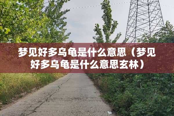 梦见好多乌龟是什么意思（梦见好多乌龟是什么意思玄林）