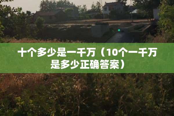 十个多少是一千万（10个一千万是多少正确答案）