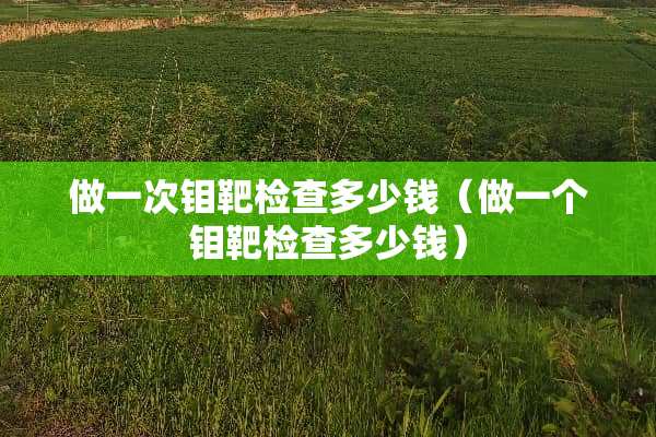 做一次钼靶检查多少钱（做一个钼靶检查多少钱）