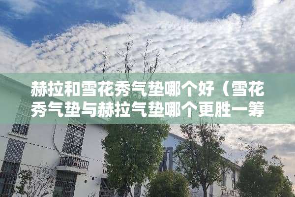 赫拉和雪花秀气垫哪个好（雪花秀气垫与赫拉气垫哪个更胜一筹?）