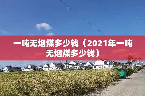 一吨无烟煤多少钱（2021年一吨无烟煤多少钱）