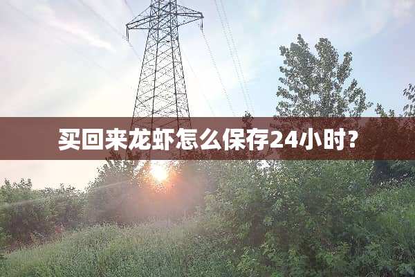 买回来龙虾怎么保存24小时？